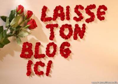 lacher ton blog